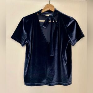 Madewell Velvet Blue Top